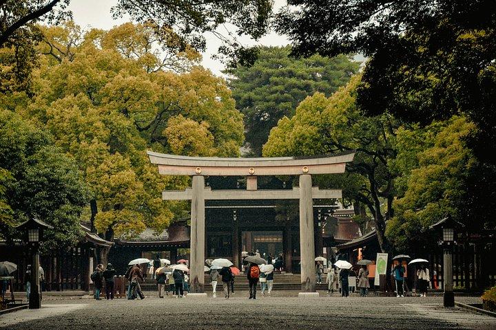 免許・被保険者付きプライベート東京ツアー