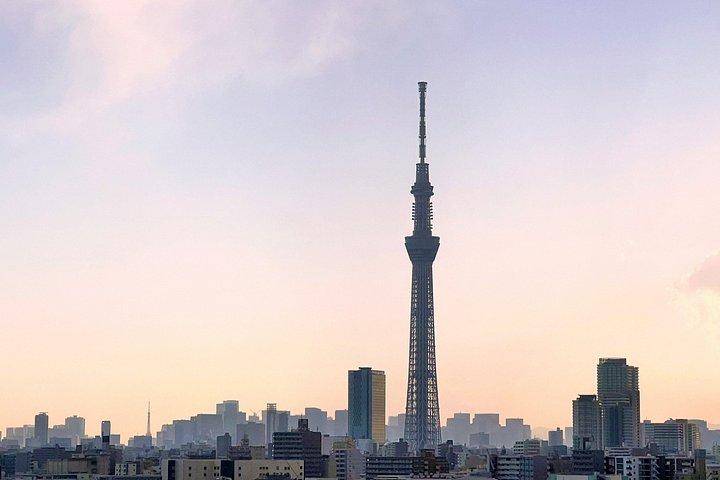 免許・被保険者付きプライベート東京ツアー