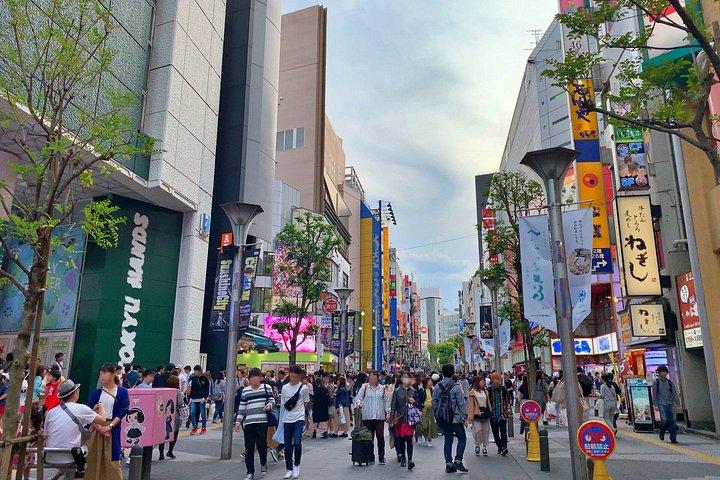 東京アニメ＆ポップカルチャー7時間ツアー
