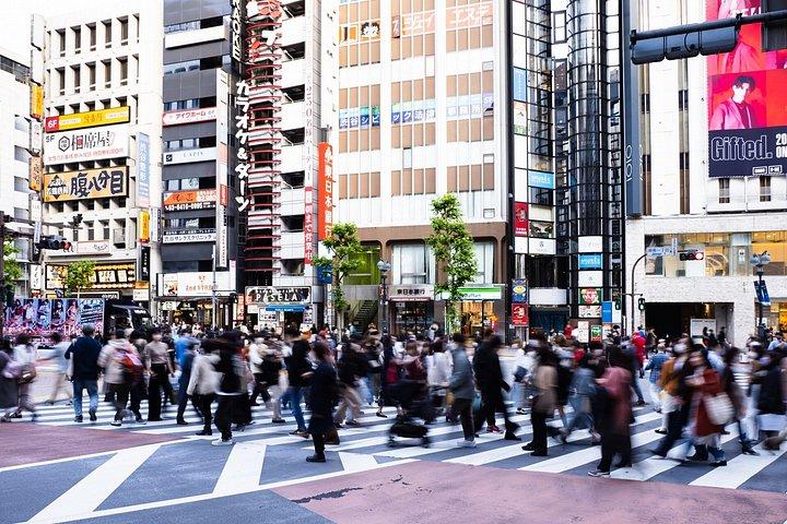7 Hours Tokyo Anime and Pop Culture Shore Excursion