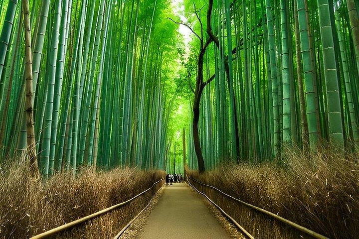 Visite à pied à durée flexible à Kyoto