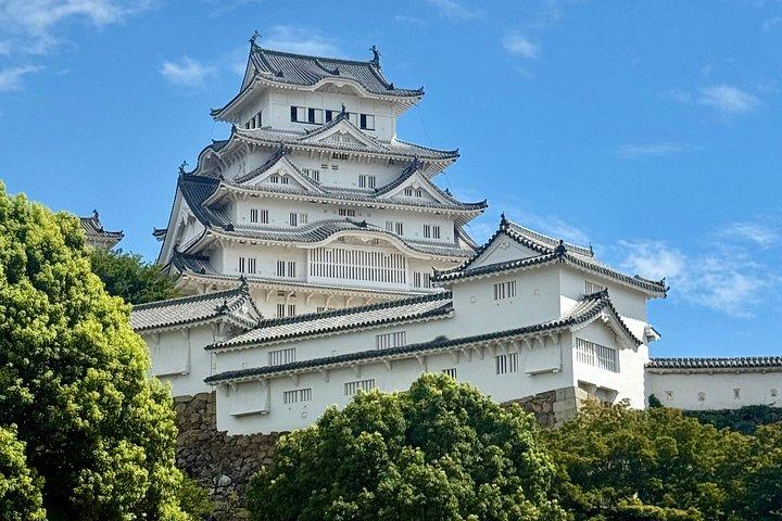 英語ドライバーと専用車による神戸＆姫路ツアー