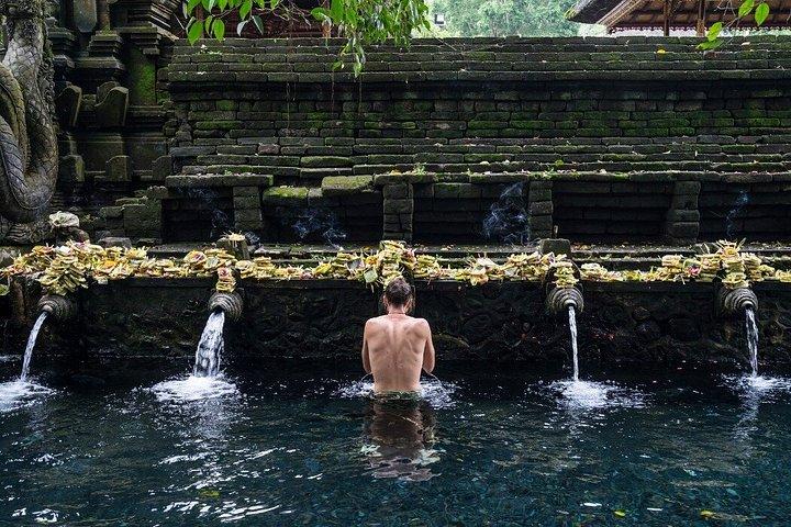 Ubud Private Tour med Monkey Forest, Swing og Vandfald