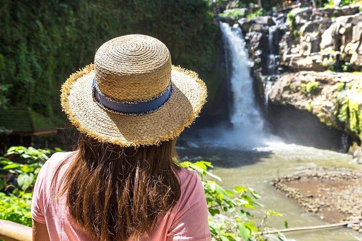 Ubud Private Tour med Monkey Forest, Swing og Vandfald