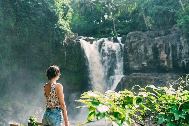 Ubud Private Tour med Monkey Forest, Swing og Vandfald