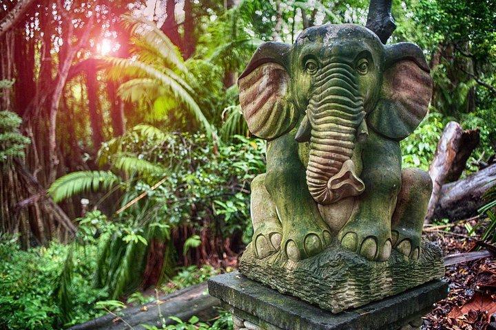 Ubud Private Tour med Monkey Forest, Swing og Vandfald