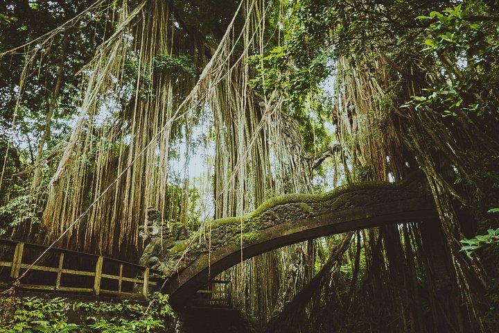 Ubud Private Tour med Monkey Forest, Swing og Vandfald