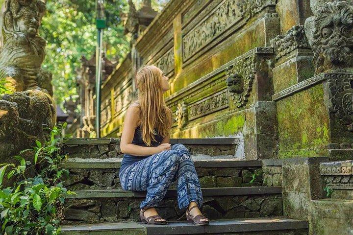 Ubud Private Tour med Monkey Forest, Swing og Vandfald