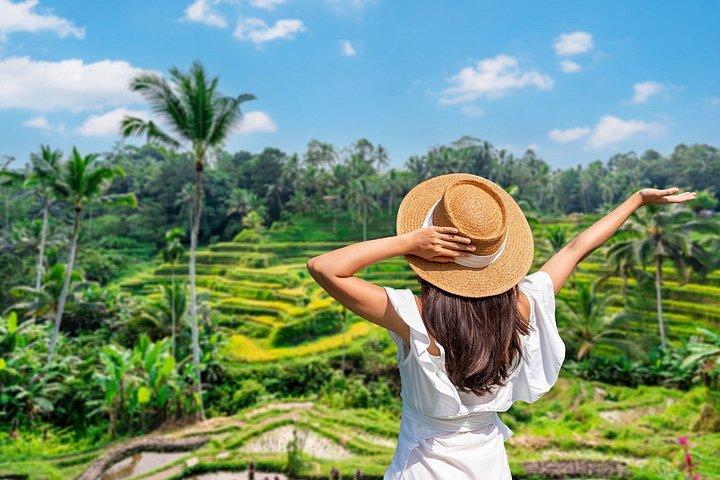 Ubud Private Tour med Monkey Forest, Swing og Vandfald