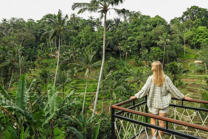Ubud Private Tour med Monkey Forest, Swing og Vandfald