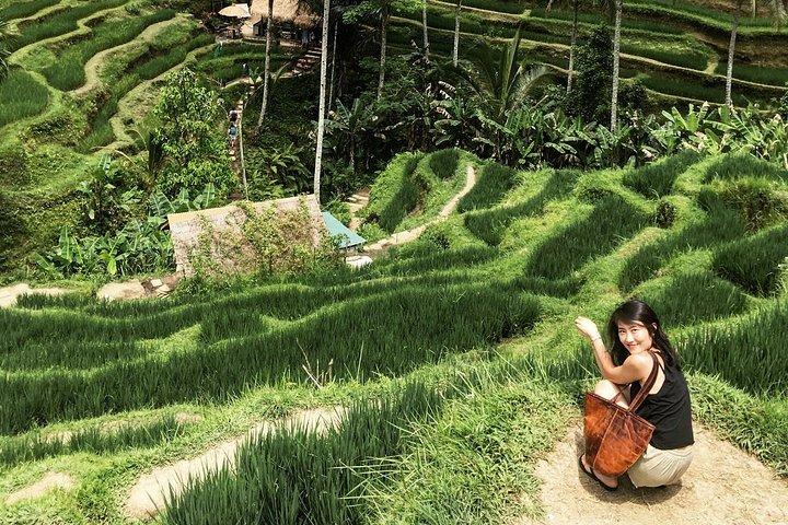 Ubud Private Tour med Monkey Forest, Swing og Vandfald