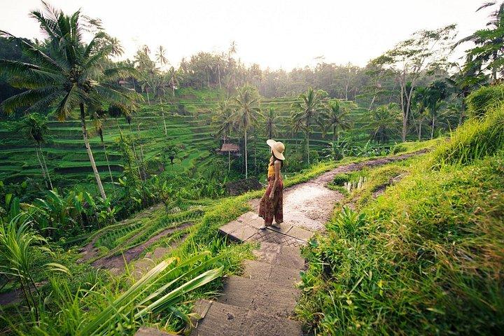 Ubud Private Tour med Monkey Forest, Swing og Vandfald