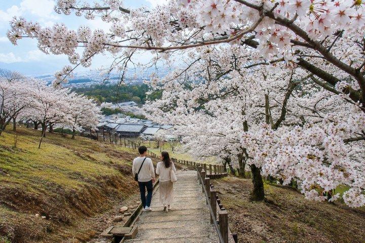 京都発、奈良日帰り文化スポット