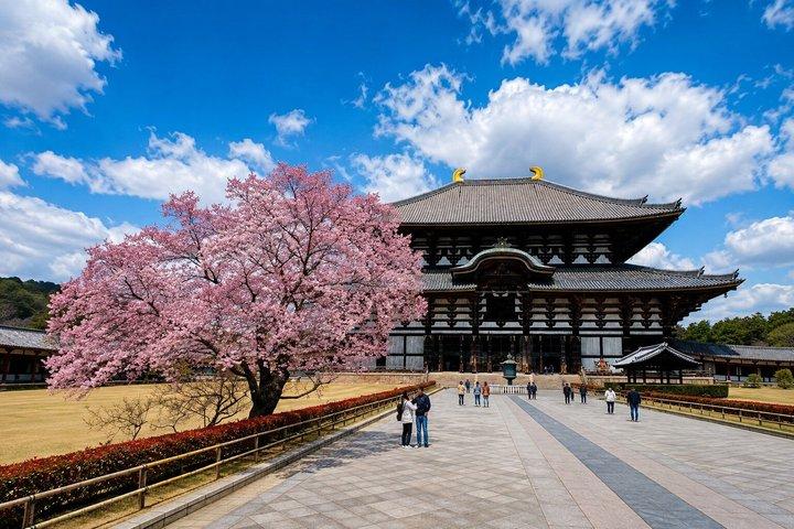 京都発、奈良日帰り文化スポット