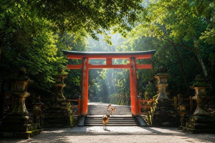 京都発、奈良日帰り文化スポット