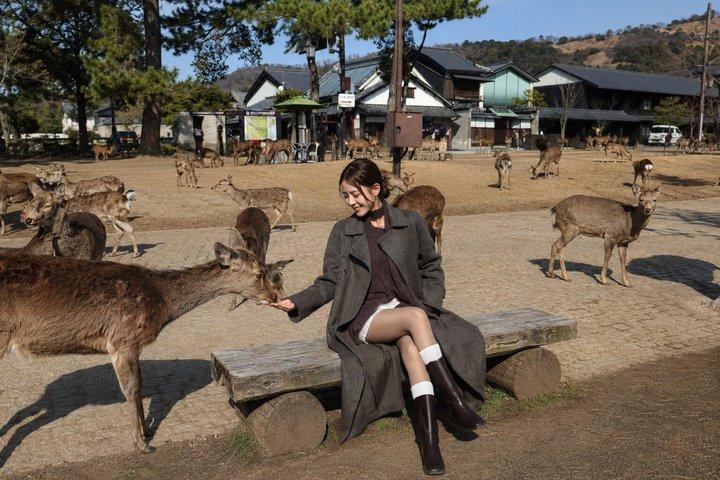 京都発、奈良日帰り文化スポット