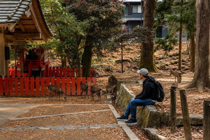 京都発、奈良日帰り文化スポット