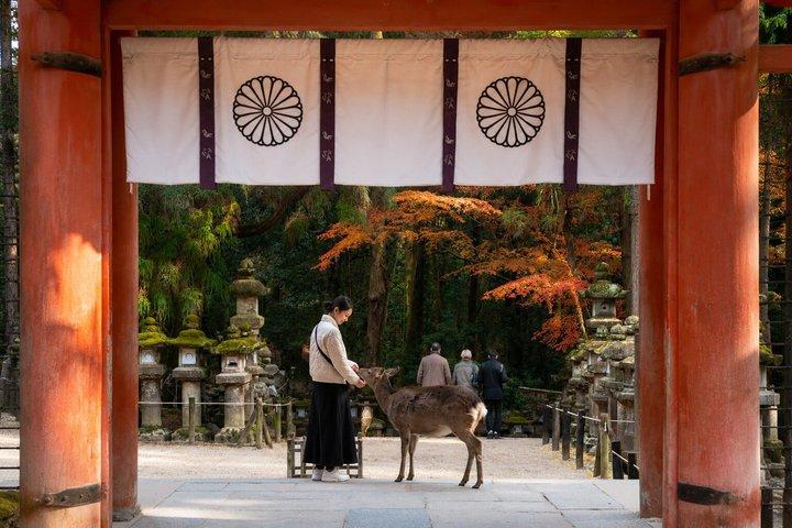 京都発、奈良日帰り文化スポット