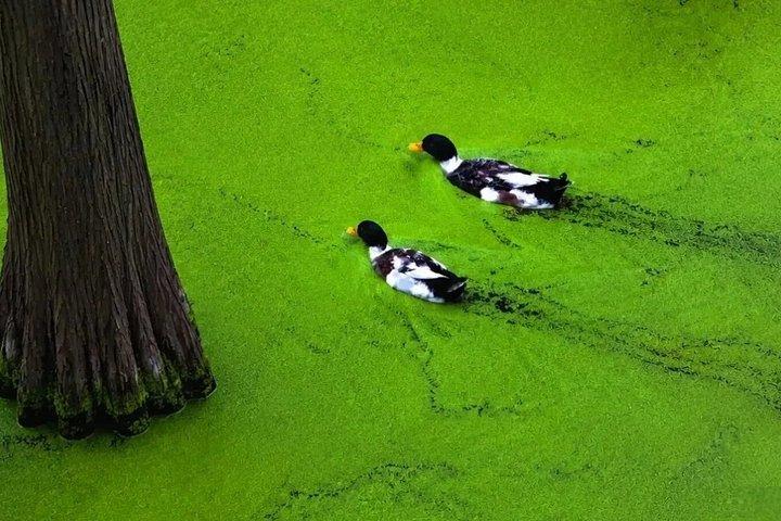 杭州の青山湖カヤックと観光ツアー