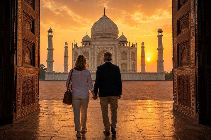 10 - デイ・インディア・ワイルドライフ・ツアー：ヒョウ、トラ、タージ・マハル