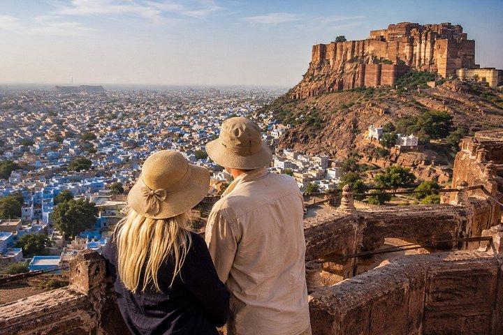 10 - デイ・インディア・ワイルドライフ・ツアー：ヒョウ、トラ、タージ・マハル