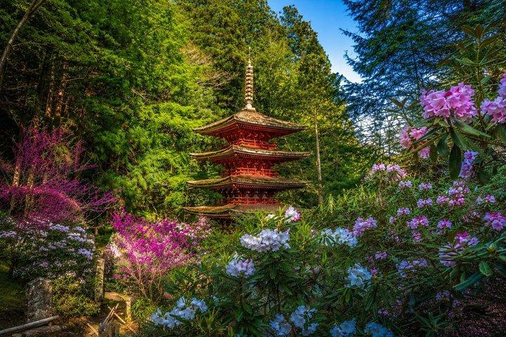 Excursión privada de un día a los templos antiguos de Nara desde Osaka/Nara