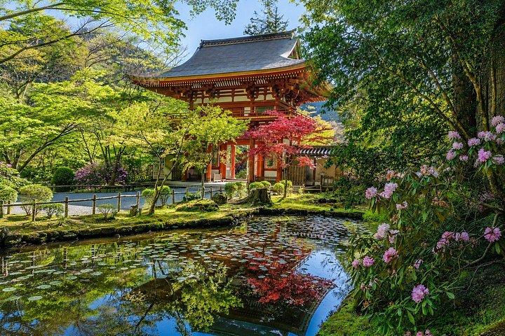 大阪/奈良発：10時間 古都寺院プライベートカーツアー