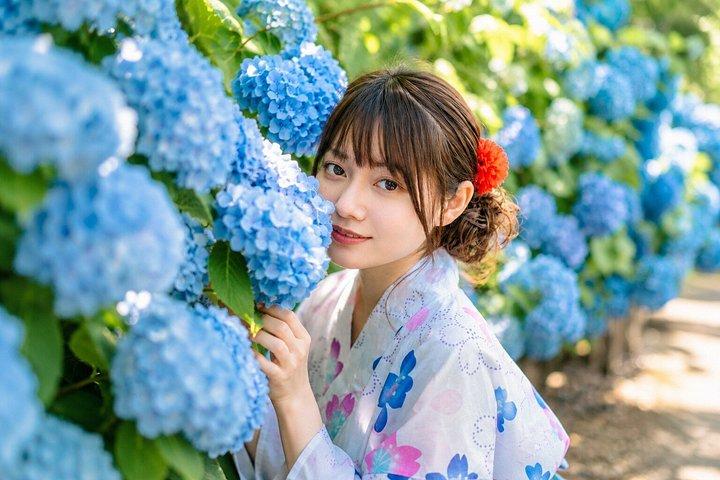 大阪/奈良発：10時間 古都寺院プライベートカーツアー