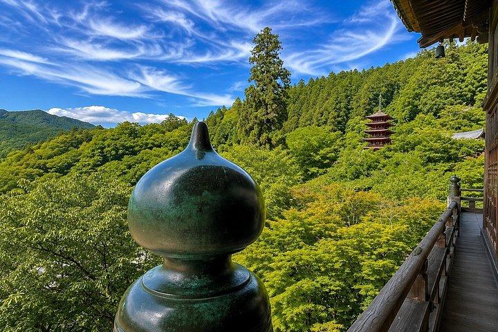 大阪/奈良発：10時間 古都寺院プライベートカーツアー