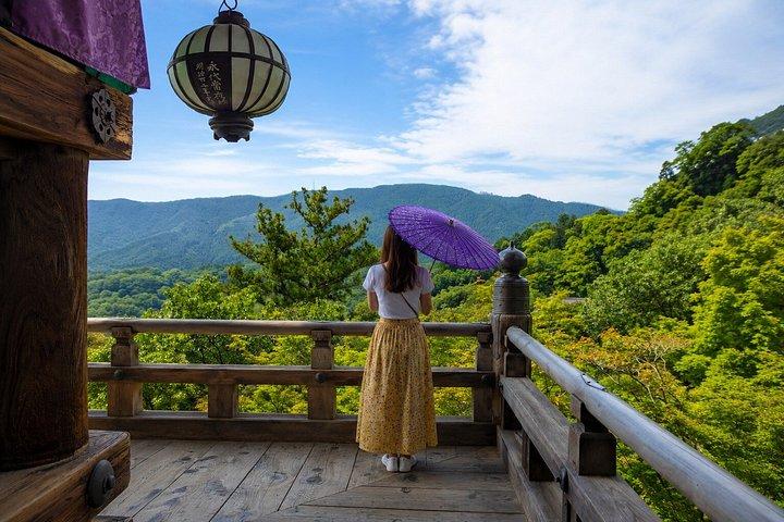大阪/奈良発：10時間 古都寺院プライベートカーツアー
