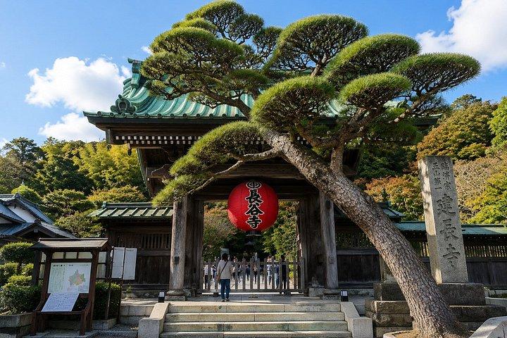 大阪/奈良発：10時間 古都寺院プライベートカーツアー