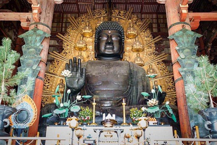 Excursión de un día a Kioto y Nara con transporte privado