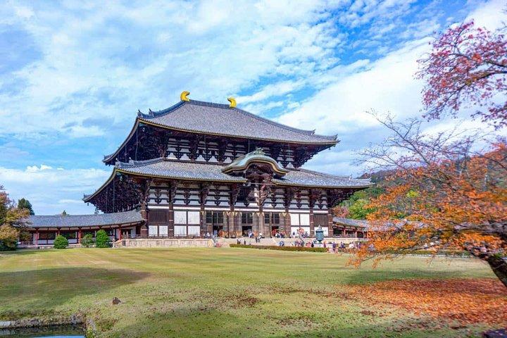 京都・奈良日帰りツアー(自家用車付き)