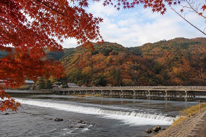 京都・奈良日帰りツアー(自家用車付き)