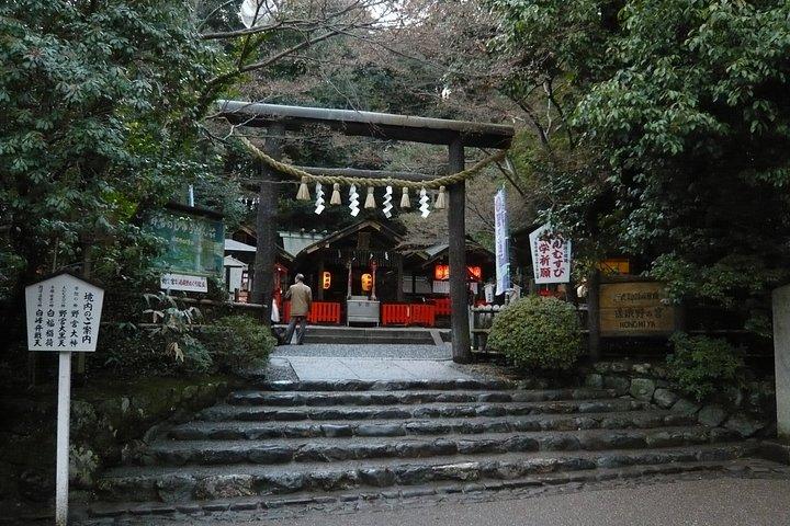 京都・奈良日帰りツアー（自家用車付き）