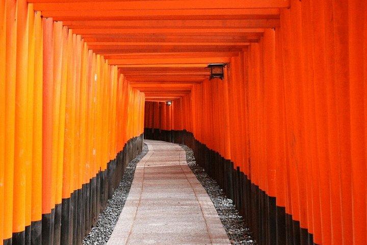 京都・奈良日帰りツアー（自家用車付き）