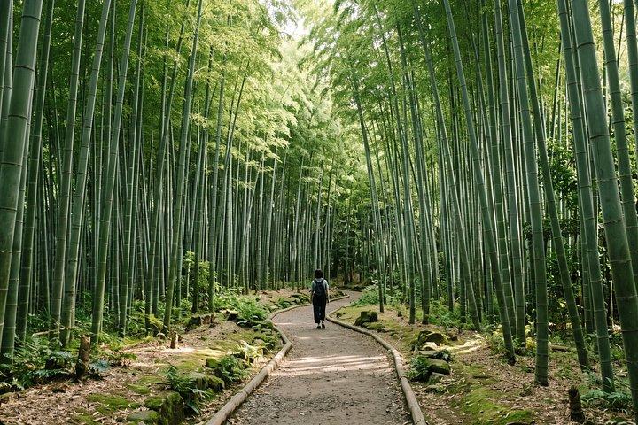 東京発：鎌倉大仏＆歴史散策ツアー
