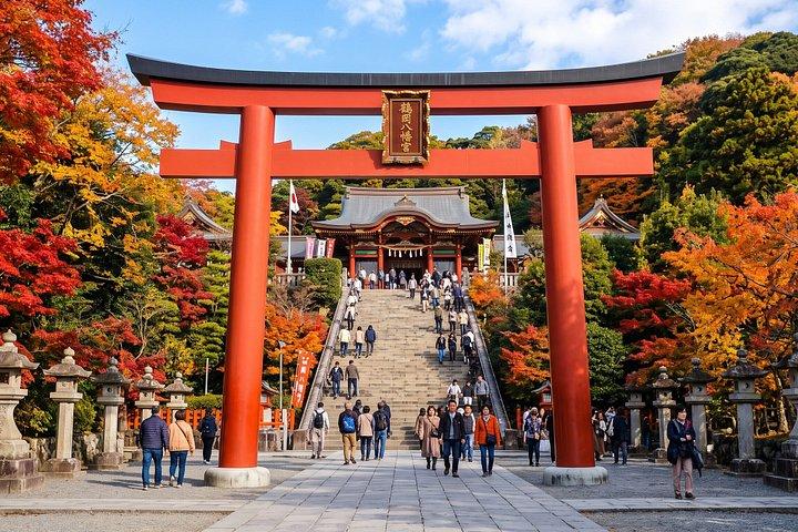 Kamakura Privat Gåture med Store Buddha & Arv