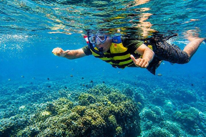 Blue Lagoon Snorkeling e Tirta Gangga Water Palace Experience