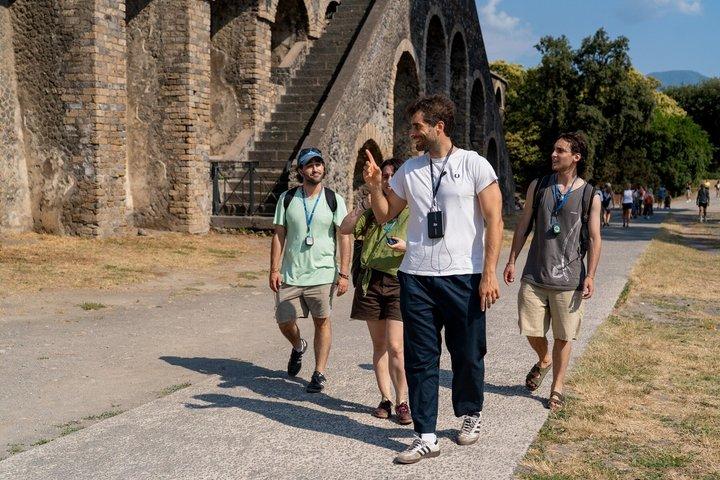 Bilhete de Pompeia e passeio guiado com um historiador profissional