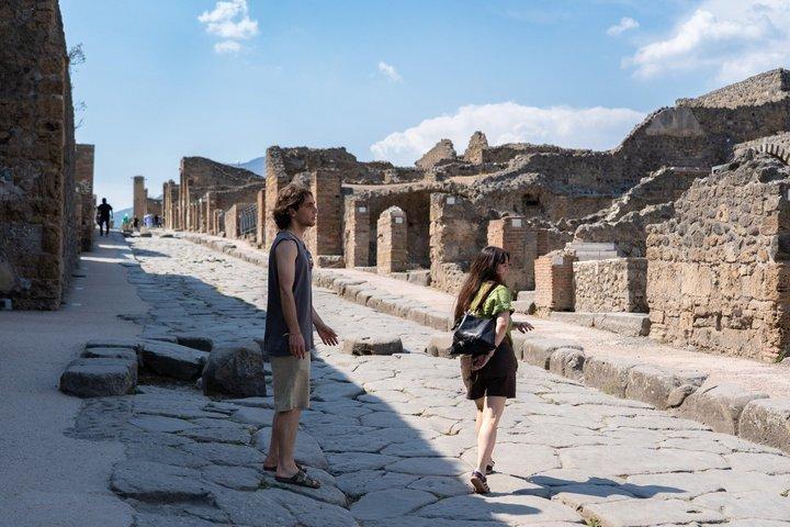 Bilhete de Pompeia e passeio guiado com um historiador profissional
