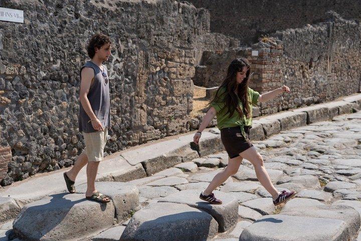 Bilhete de Pompeia e passeio guiado com um historiador profissional
