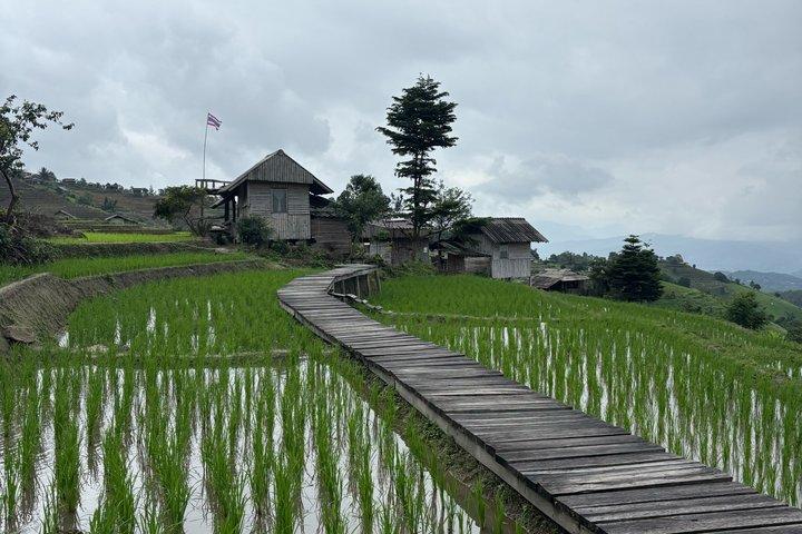 パポンピアン棚田とドーイインタノン国立公園