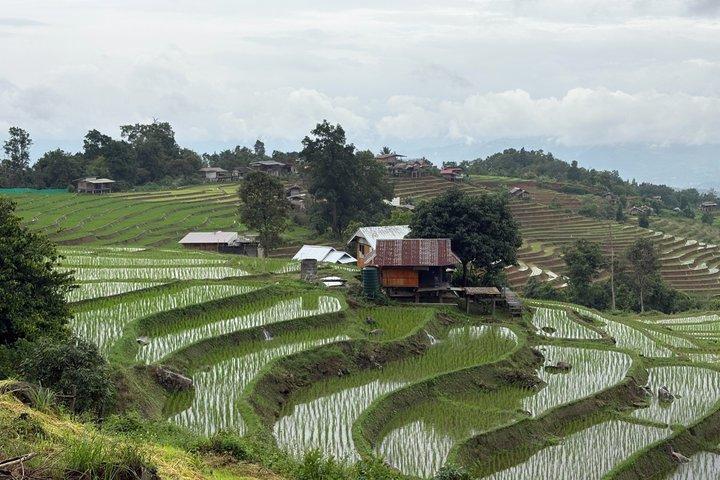Pa Pong Piang Rice Terrace and Doi Inthanon National Park