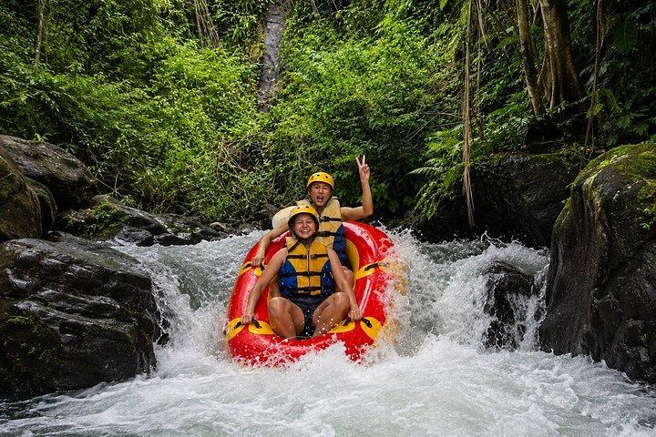 Altalena della giungla della foresta delle scimmie di Ubud e tubo del fiume con pranzo
