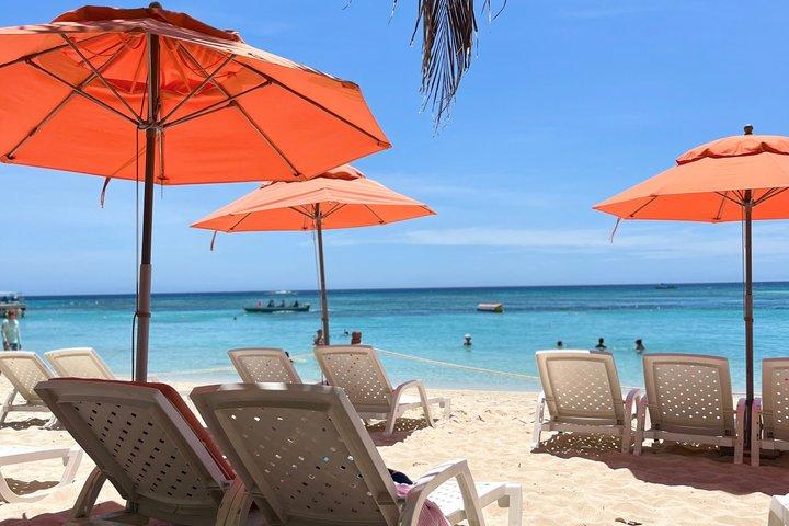 Roatan Private Excursion, Monkey & Sloth Sanctuary & Beach Break