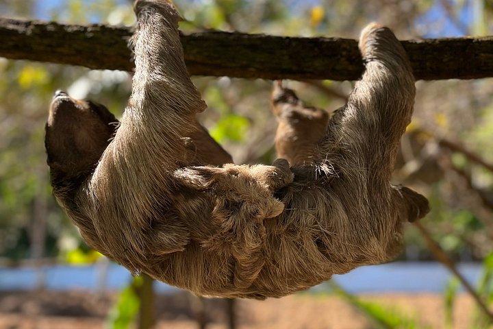 Roatan Private Excursion, Monkey & Sloth Sanctuary & Beach Break