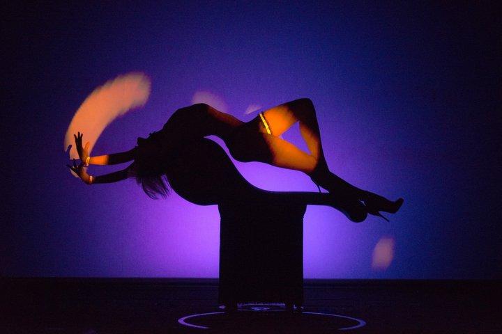 Paris Crazy Horse Kabarettshow
