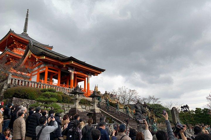 フランス語ガイド付き京都プライベート文化ツアー