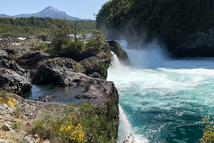 Puerto Varas Private Excursion: Petrohué Falls, Lake & Lunch